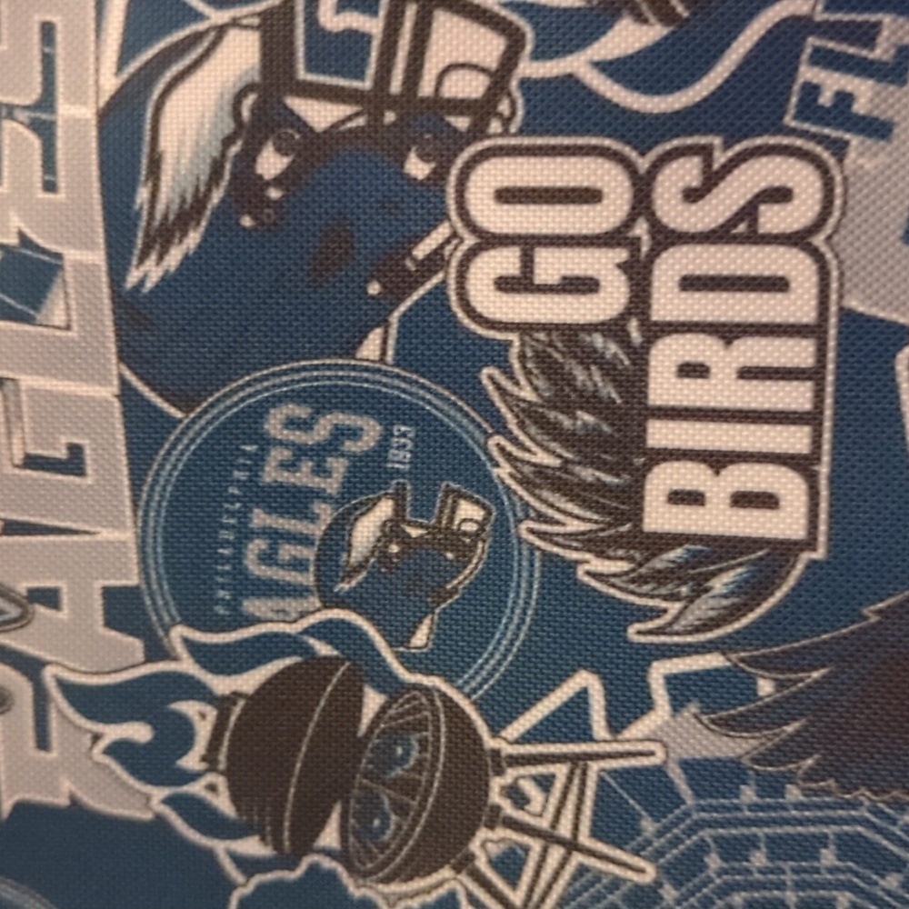 Philadelphia Eagles Thermal Bag NFL - Picture 2 of 5
